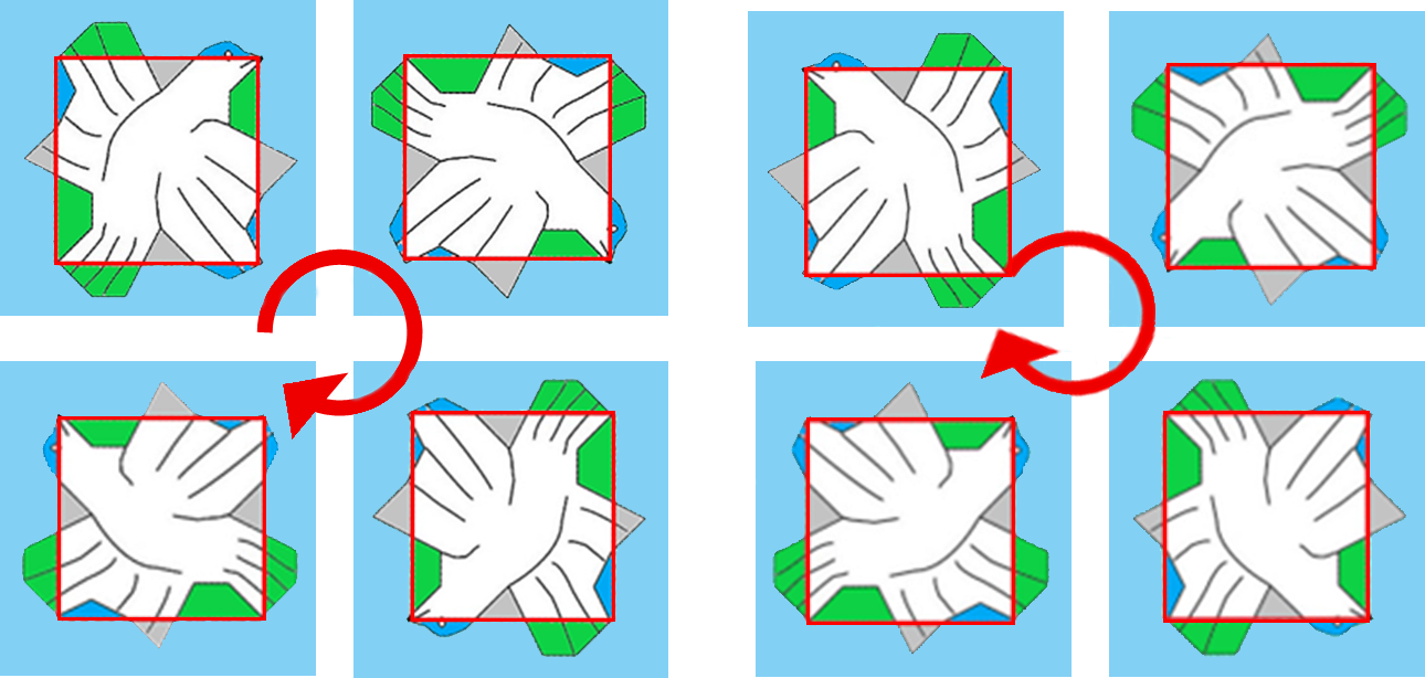 Figuur 4 - Gespiegelde papegaaien met hun rotaties